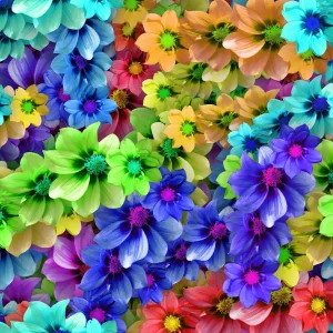 Hippie Flowers 24