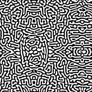 Maze 24