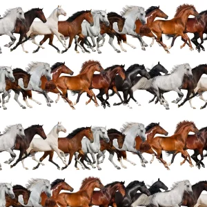 Running Mustangs 22