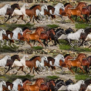 Running Mustangs 26