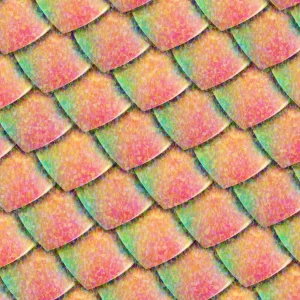 Mythical Creature Scales 26