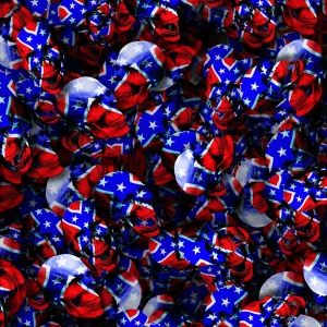 Rebel Skulls 23