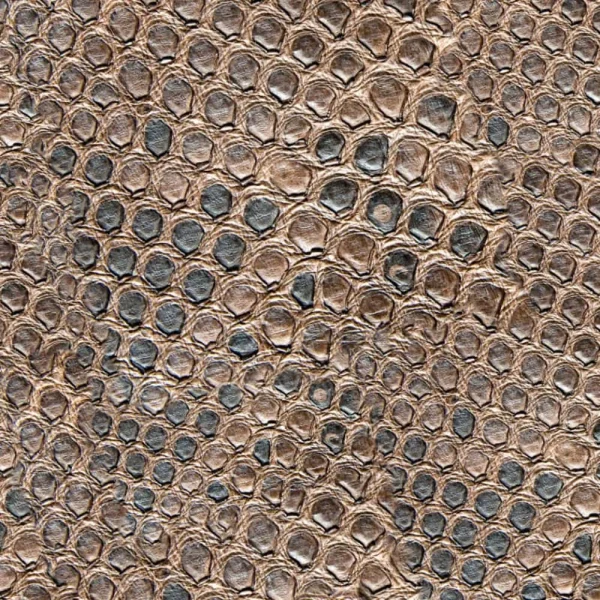 Brown Crocodile Skin 23