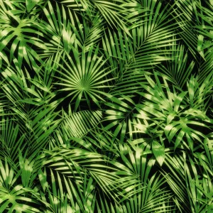 Tropical Plant Foliage 44
