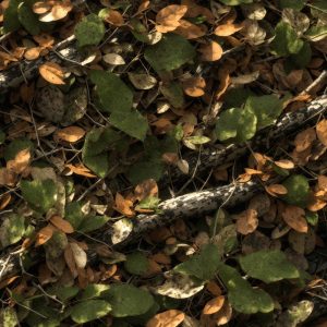 Tactical Camouflage 455