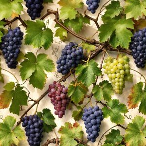 Grapevine Collage 42