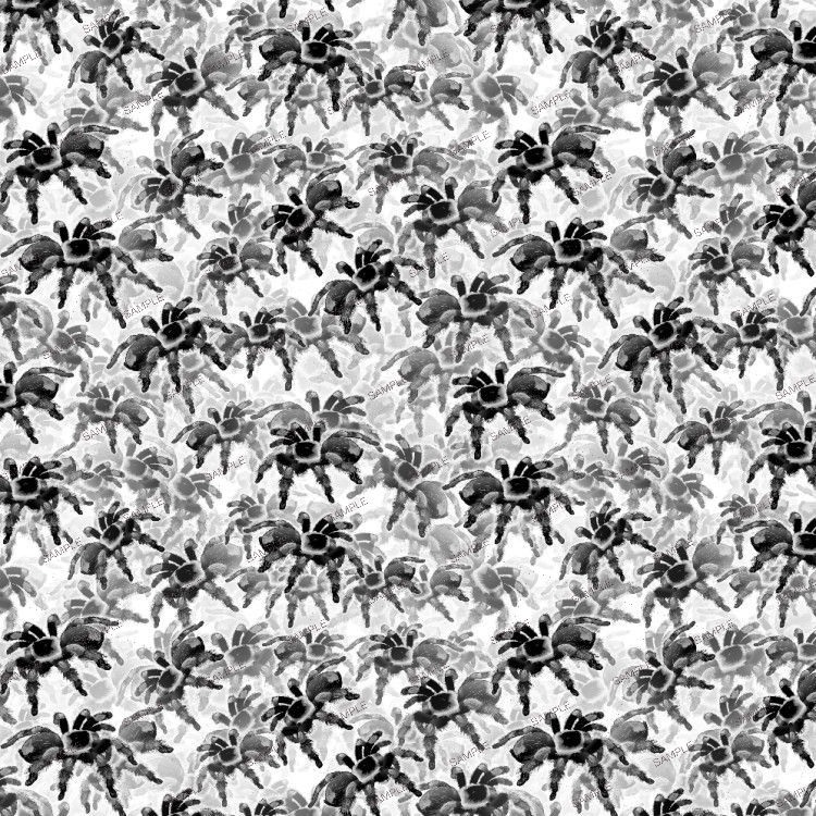 Repeating pattern of black and gray watercolor tarantulas from the Tarantulas 25 collection.