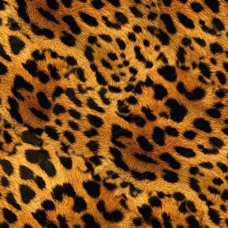 Cheetah Fur textile with a golden-yellow base and brown-black cheetah spot pattern.