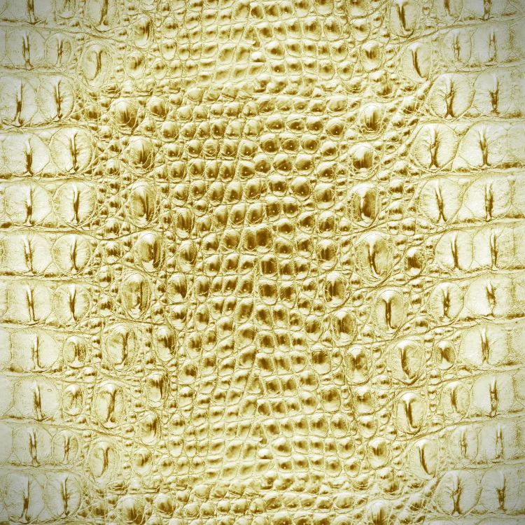 Close-up of Alligator Leather Albino 23, featuring off-white, textured animal skin with a pattern of large, irregular, raised scales.