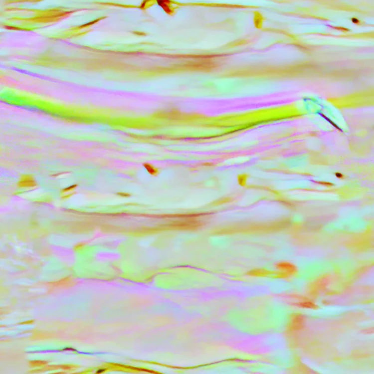 Mother of Pearl 32 with an iridescent, wavy surface texture in bands of pink, yellow, and green.