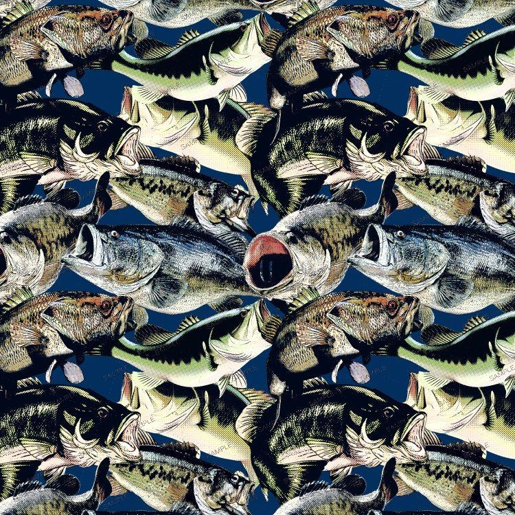 Fish