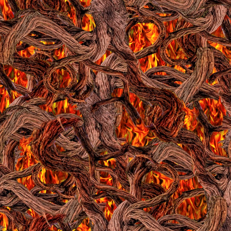 Burning Wood