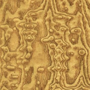 Ash Veneer 46