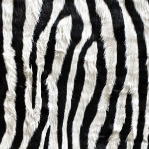 Zebra Fur 44