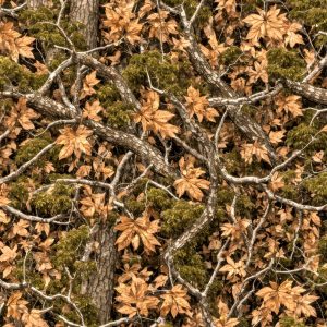 Tactical Camouflage 482