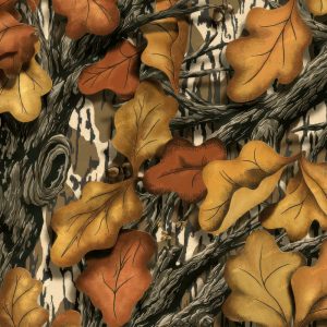 Mossy Oak Fall Foliage