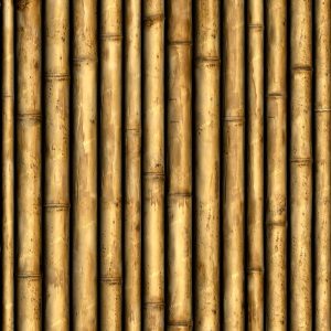 Bamboo 66