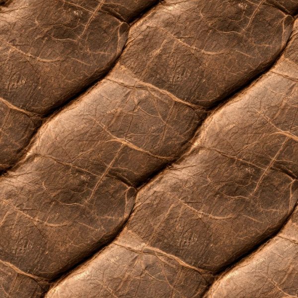Close-up of the Stacks of Books 47 (Copy) brown, quilted material with a cracked, textured surface.
